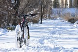 W jaki sposób jeździć na rowerze zimą? O tym trzeba pamiętać 