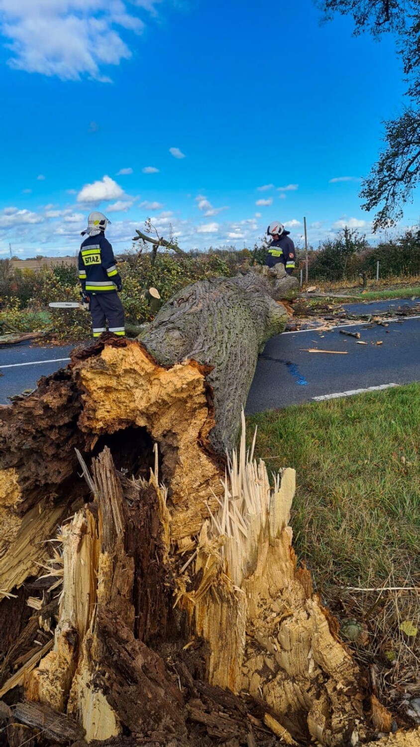 Wiało, łamało i zrywało w powiecie pilskim. To był trudny czas dla strażaków!