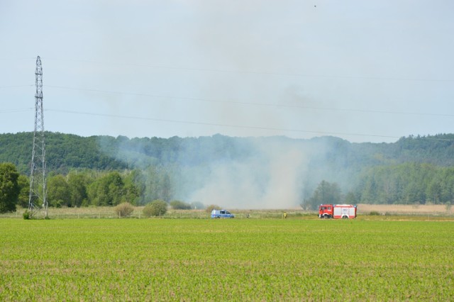 W niedzielne popołudnie 28 maja doszło do pożaru traw w Leśnicach. Ze względu na utrudniony dojazd i szybko rozprzestrzeniający się pożar, oprócz zastępu OSP Leśnice, zostały zadysponowane dodatkowe zastępy strażaków z Komendy Powiatowej PSP w Lęborku, OSP Lębork i 2 zastępy OSP Nowa Wieś Lęborska.