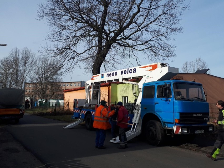 Ulica Brzozowa dzisiaj jest w części gruntowa. Rosną przy...