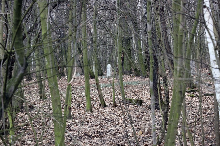 Jest taki poniemiecki cmentarz przy ulicy Smokowickiej w Legnicy