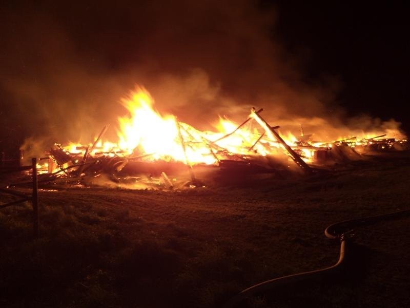Pożar stodoły w Liskach

Strażacy zastali stodołę całkowicie...