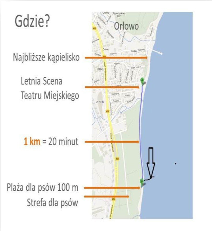 Gdynia: Będzie specjalna strefa dla czworonogów. Gdyńska plaża również dla psów od maja