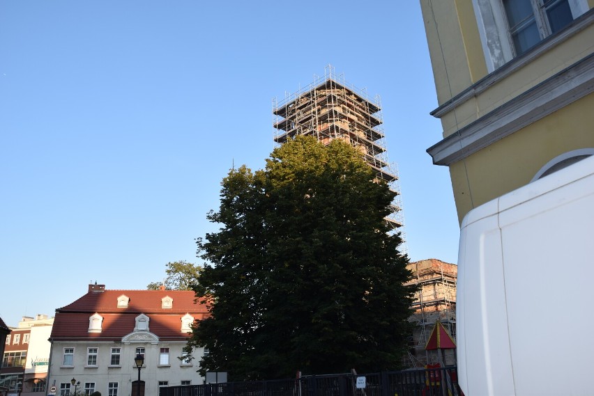 Ruiny kościoła w Szprotawie. Powstanie m.in. wieża widokowa