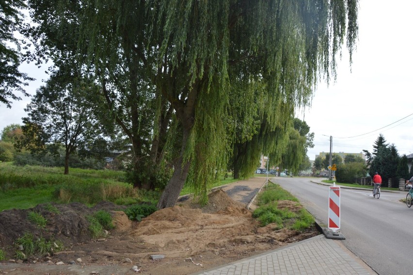 Burmistrz Lęborka uznał niewymienienie drzew do usunięcia za...