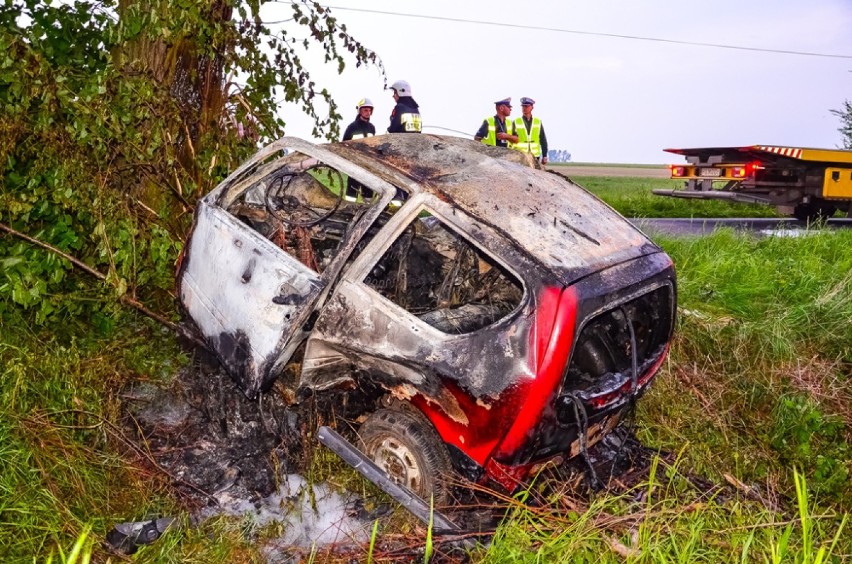 Śmiertelny wypadek na trasie Żerków-Żółków. Nie żyje 21-letni mieszkaniec gminy Żerków [ZDJĘCIA] 