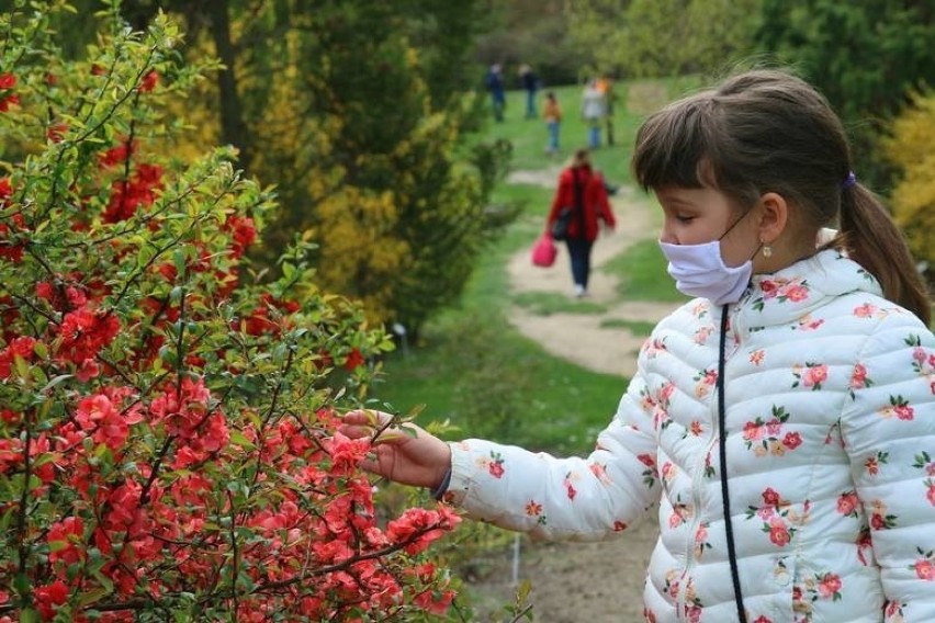 Ogród Botaniczny UMCS w Lublinie to doskonałe miejsce na...