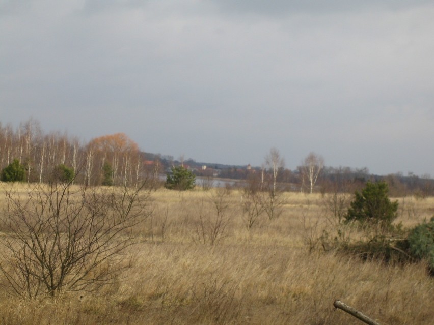 Tutaj staną domy jednorodzinne i domki letniskowe.