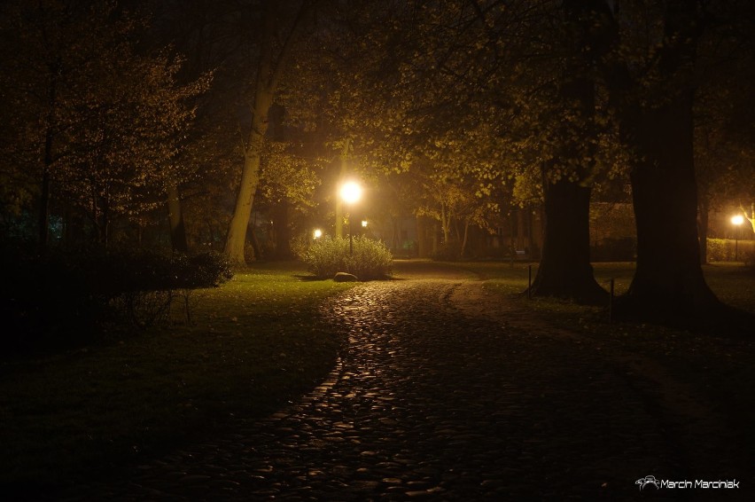 Tak wygląda dobrzycki park nocą w obiektywie Marcina Marciniaka