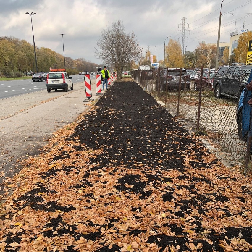 Ursynów staje się bardziej ekologiczny. Trwa niesamowita transformacja dzielnicy