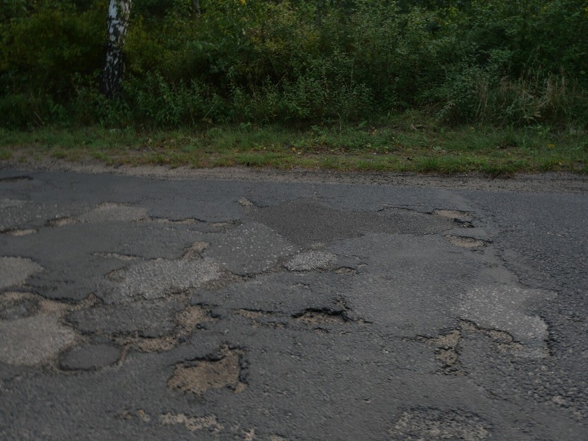 Mieszkańcy domagają się remontu drogi ze Skoków do Rościnna