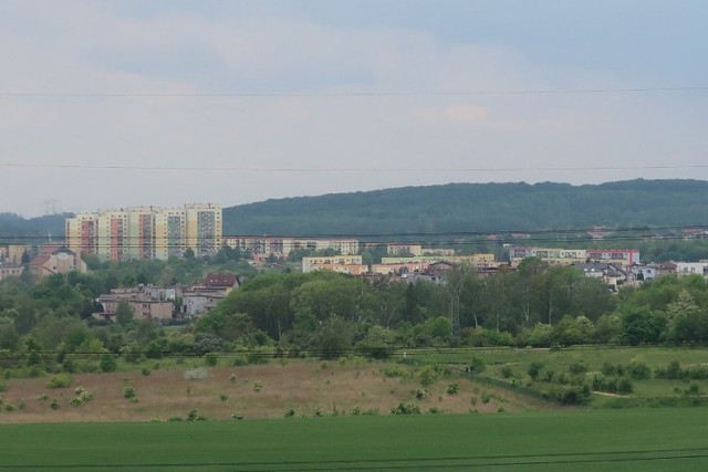 Jakie są minusy życia w Piekarach Śląskich? Spytaliśmy o to samych mieszkańców. Zobaczcie, co wskazali. Zobacz kolejne plansze. 

Przesuwaj zdjęcia w prawo - naciśnij strzałkę lub przycisk NASTĘPNE >>>