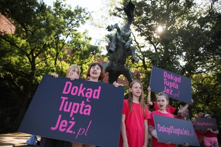 Dokąd tupta jeż? Do TAURONA! Zaprezentowano symbol nowej strategii Zielony Zwrot TAURONA   