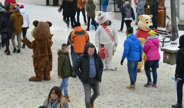 Biały miś z Krupówek ukarany mandatem karnym