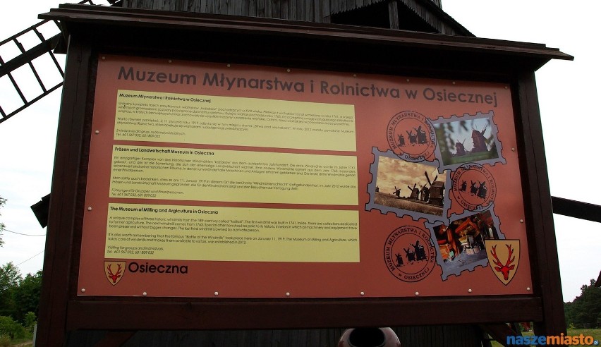 Wiatraki w Osiecznej są siedzibą Muzeum Młynarstwa i...
