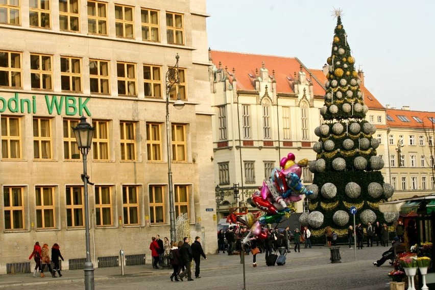 Wrocław: Na Rynku choinka już stoi. Rozbłyśnie 6 grudnia (ZDJĘCIA)