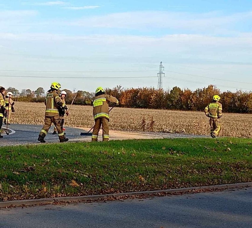 Pożary w dwóch miejscowościach i kukurydza na drodze. Tygodniowy raport Komendy Powiatowej PSP w Malborku