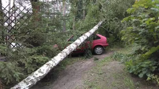 Trąba powietrzna nad Kretowinami