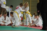 Górki Wielkie: Drugi Mikołajkowy Turniej Judo Dzieci o Puchar Gminy Brenna.