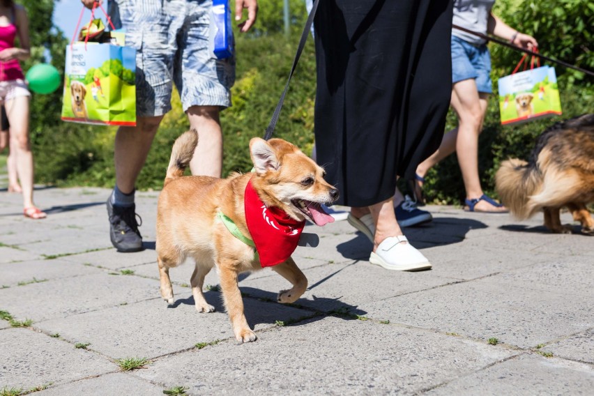 W najbliższą sobotę, 27 października, stare miasto opanują...