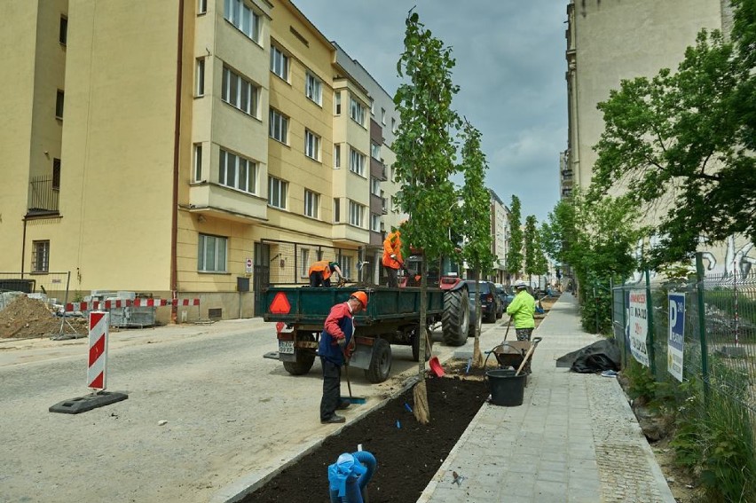 - Ważnym elementem życia mieszkańców jest zieleń. Drzewa...