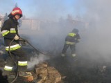 Mikołowska straż miejska i pożarna interweniowały w czasie pożaru pola przy ul. Skośnej