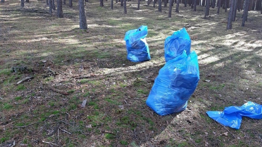 Nadleśnictwo Bolewic. Porzucone śmieci w lesie 