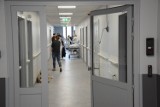Szpital w Gorzowie i Uniwersytet Zielonogórski dostały 2,5 mln zł, by lepiej walczyć z koronawirusem
