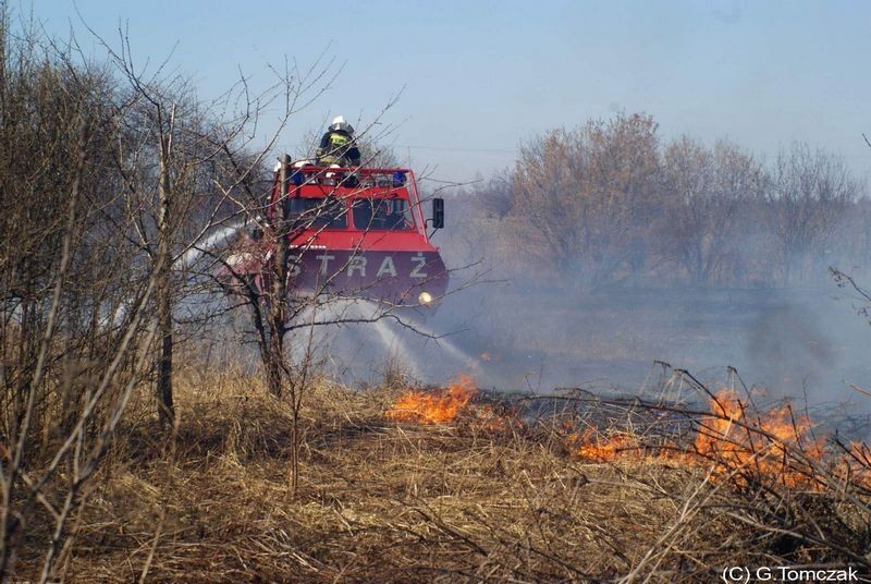 Pożar w Dąbrowie Górniczej. Płonęły trawy w dzielnicy Łosień [ZDJĘCIA]