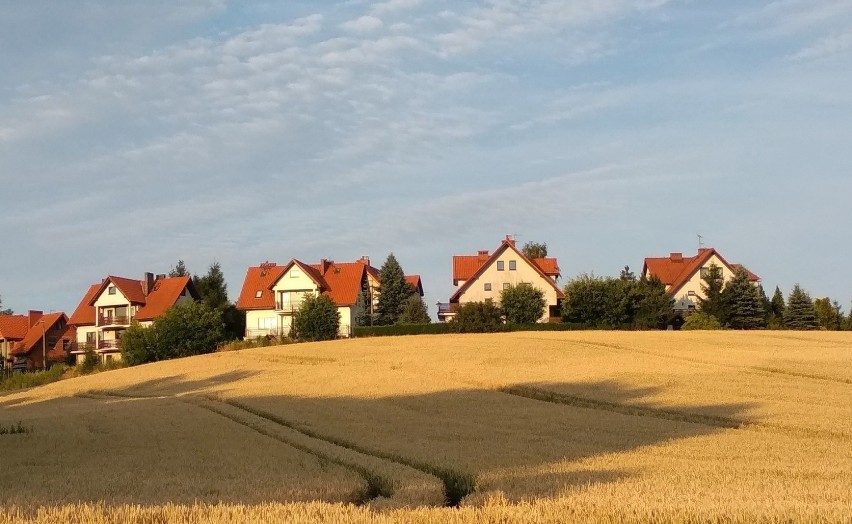 Sprawdź wyniki rankingu i zobacz, która gmina w regionie...