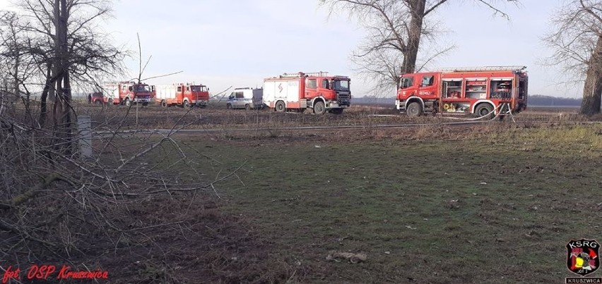 Jak już informowaliśmy, wczoraj około godziny 12 w...