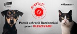 Ratuj bezdomne zwierzaki z Konina przed groźnymi kleszczami