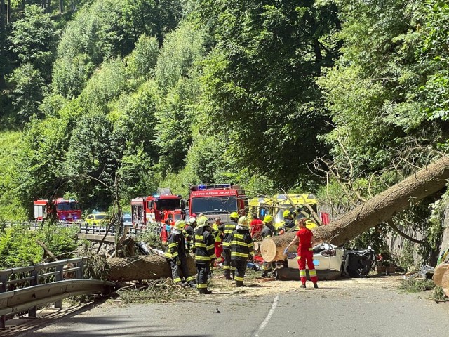 Dwie osoby zginęły w tragicznych wypadku w Karkonoszach przy granicy z Polską. Na ich samochód spadło drzewo
