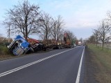 Ciężarówka z drewnem wylądowała w rowie - bądźmy ostrożni za kierownicą!