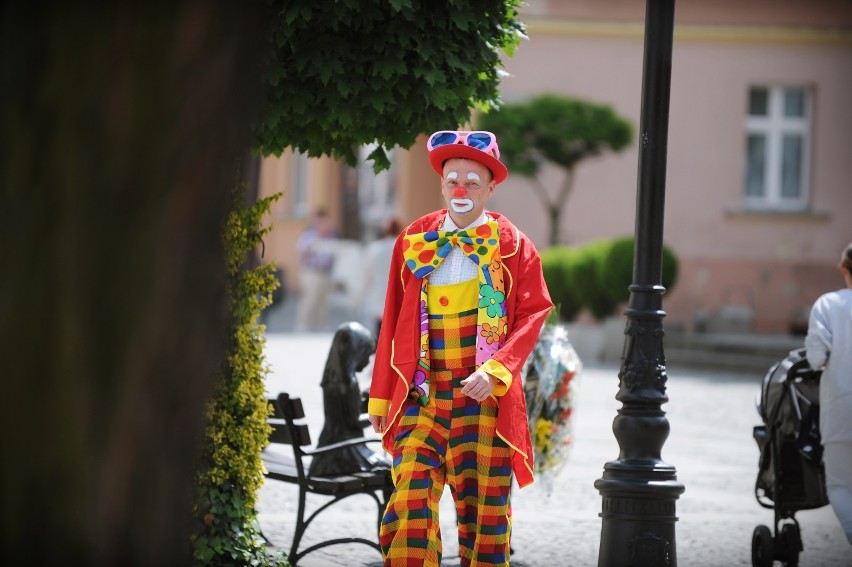 Urodzinowy klaun dla burmistrza Kołacińskiego