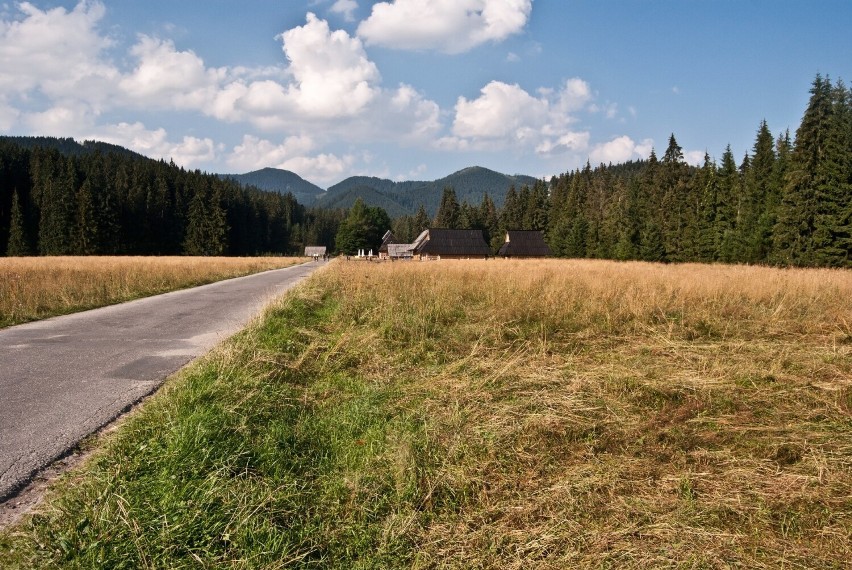 Pierwsza część trasy przez Dolinę Chochołowską to asfaltowa...