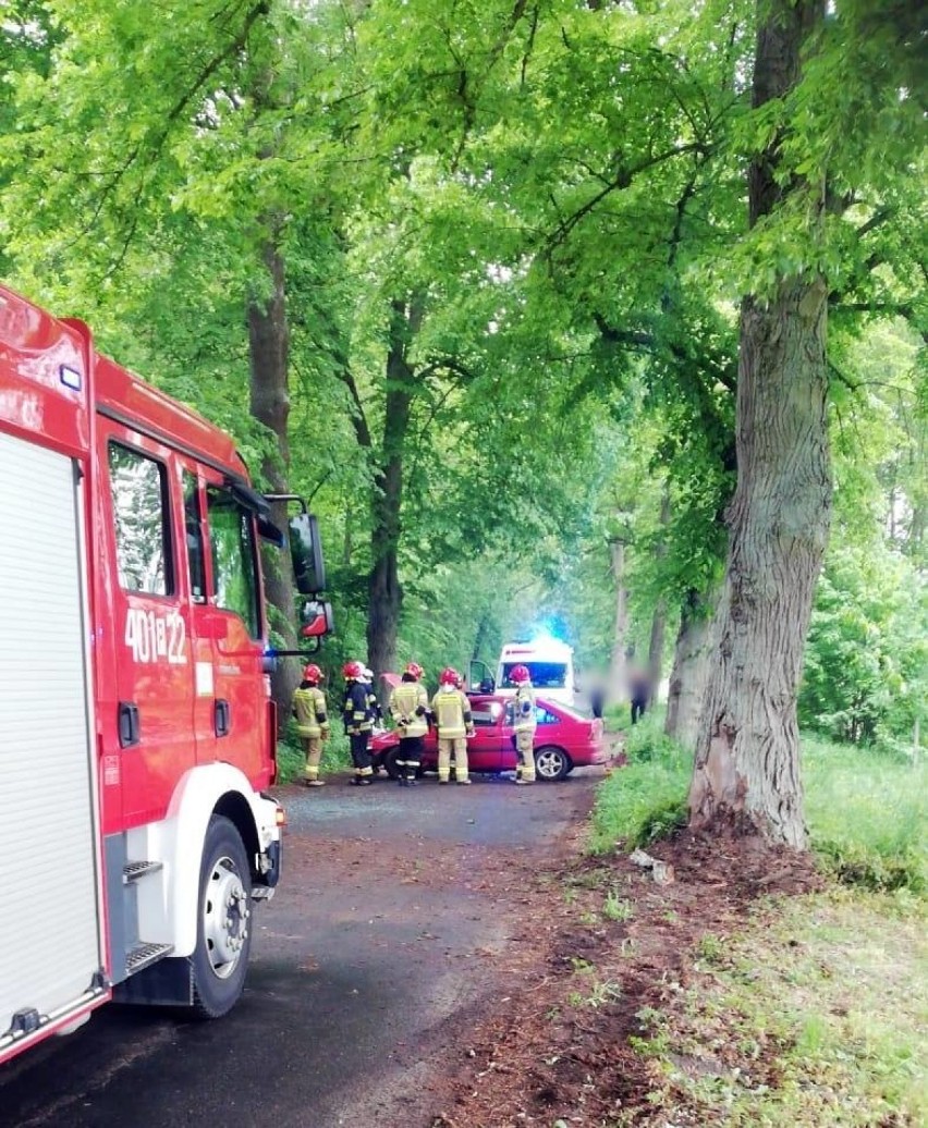 Wypadek na drodze Milcz - Nietuszkowo. Samochód uderzył w drzewo