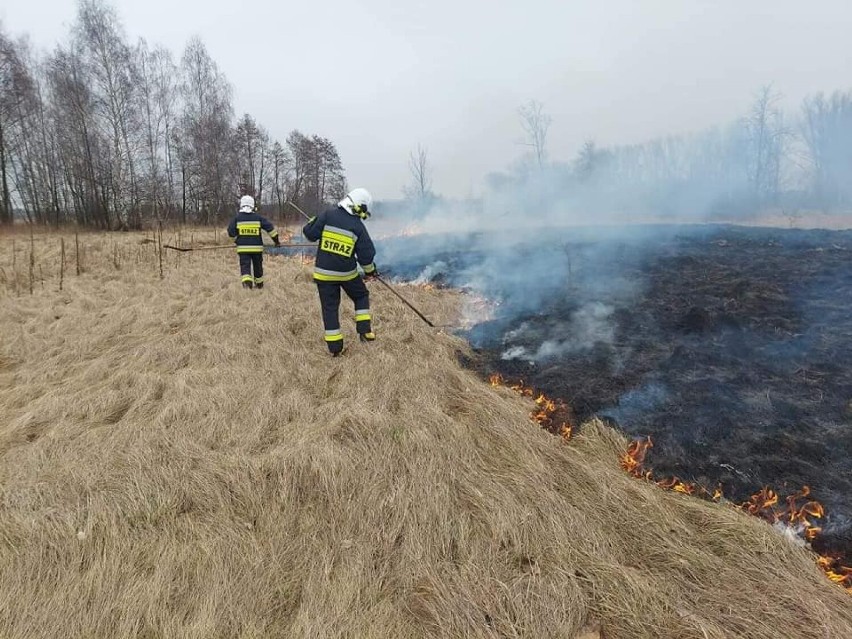 Strażacy-ochotnicy z Sieradza podsumowali rok. Brali udział w ponad 120 akcjach ZDJĘCIA