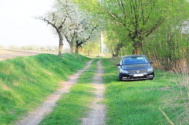 majówka| auto na wiosnę| samochód do wiosny| długi weekend| przegląd wiosenny| samochód wiosnę