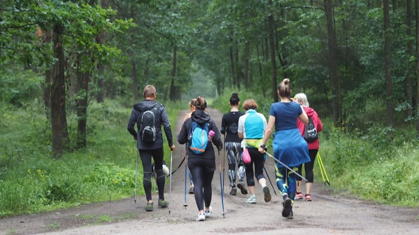 Zachęcają do wspólnego maszerowania