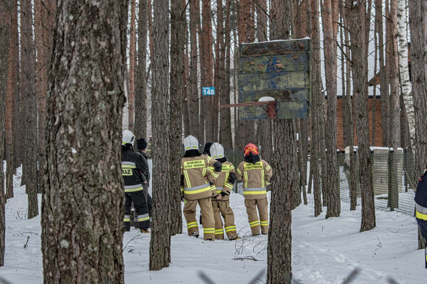 Strażacy i policjanci łapali byka, który uciekł właścicielowi w gminie Poświętne [ZDJĘCIA]