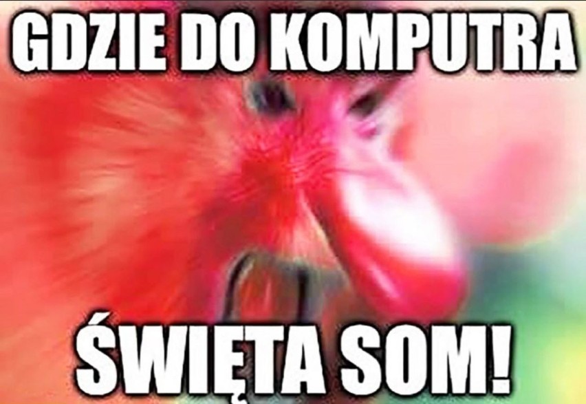 Memy na Wielkanoc: Tak internauci postrzegają świąteczny...