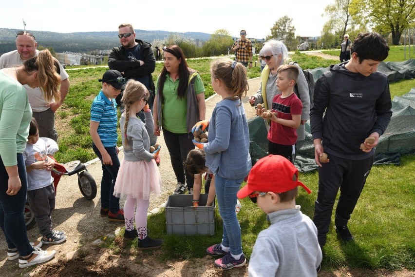 Kwitnące rośliny, liczne warsztaty, a na koniec ognisko - w...