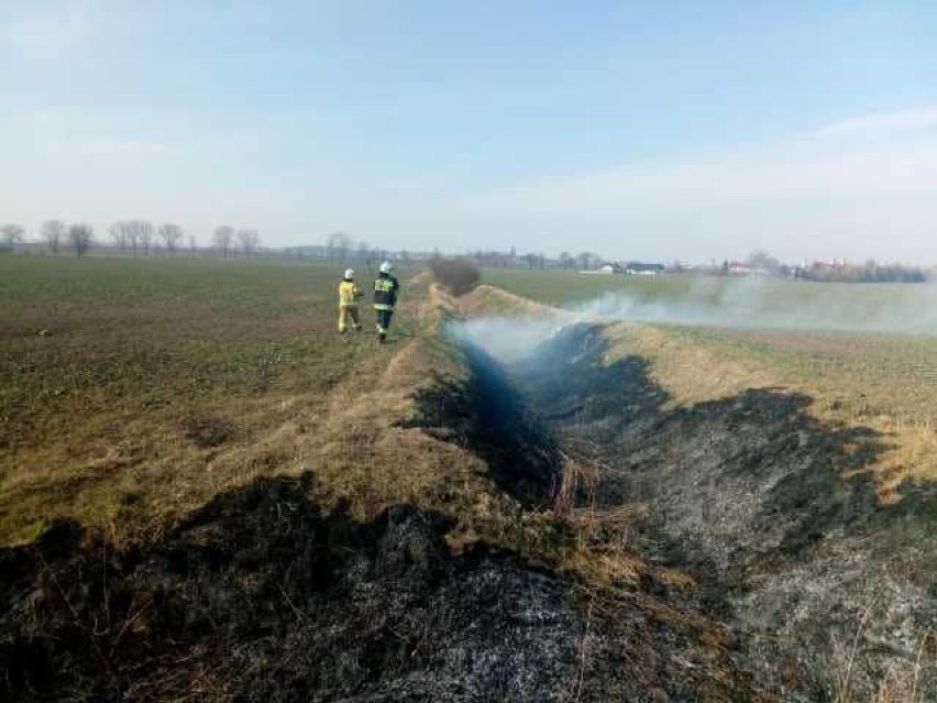 Płoną trawy w powiecie malborskim. Tak minął tydzień strażakom - raport Komendy Powiatowej PSP w Malborku