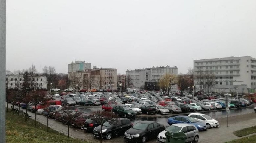 Obecny parking przy Palmiarni na co dzień jest zapełniony...