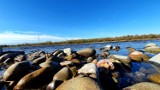 Jeszcze w tym roku wybudują w Rytrze promenadę. Będzie przebiegać wzdłuż Popradu