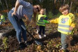 Krotoszyn. Przedszkolaki z “Kubusia” wspólnie z samorządowcami i leśnikami posadzili 1000 drzew [FOTO] 