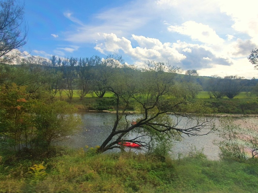 Rafting to spływ rzeczny, do której używa się tratw, łodzi,...