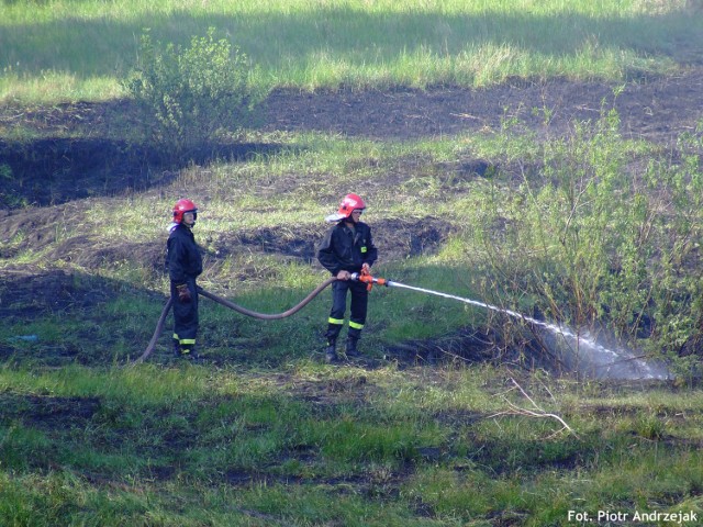 Strażacy podczas akcji