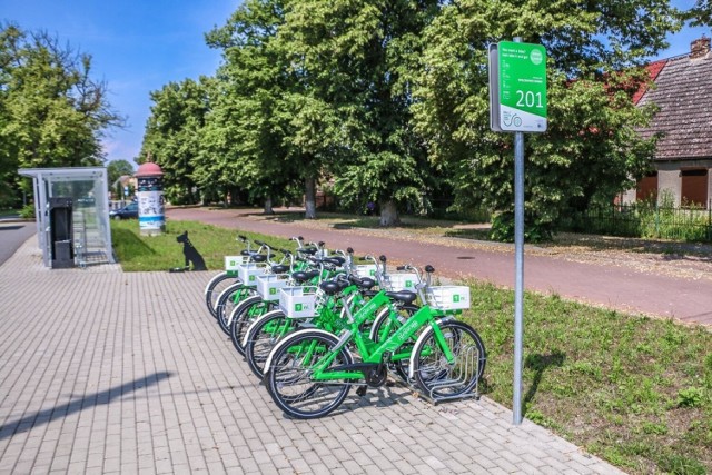 Umowa na Bike_S weszła w życie 1 lipca i obowiązywać będzie do końca roku. Gmina Dobra zapłaciła spółce NiOL za jej wykonanie 123 tys. zł